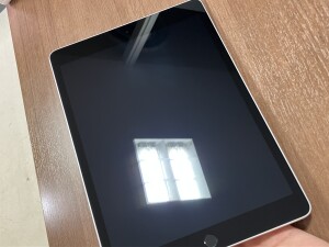 iPadPro12.9インチ