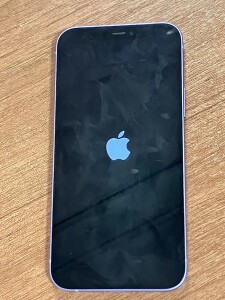 iPhone　リンゴが点滅