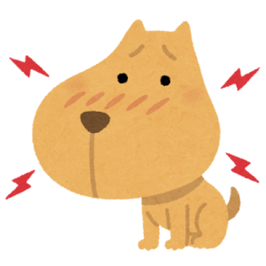 dog_hachi_sasareta