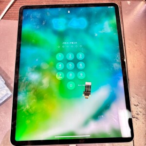 奈良県生駒市新生駒台　iPadpro11第二世代　充電口交換
